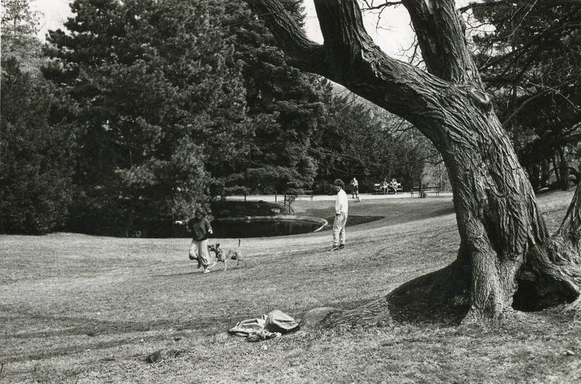 Tuerkenschanzpark