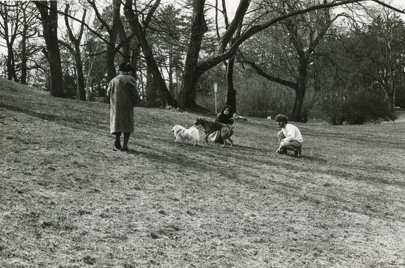 Tuerkenschanzpark