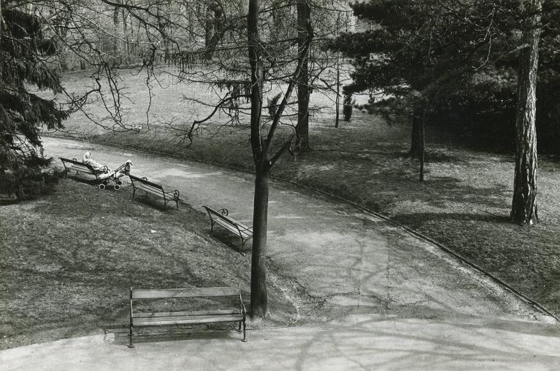 Tuerkenschanzpark