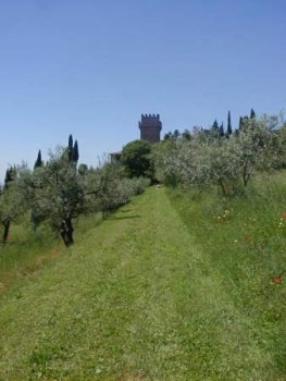 paesaggio