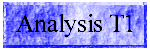 Analysis T1