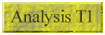 Analysis T1