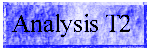 Analysis T2