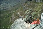 Climbing on Table mountain